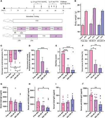 Intermittent fasting protects against food allergy in a murine model via regulating gut microbiota